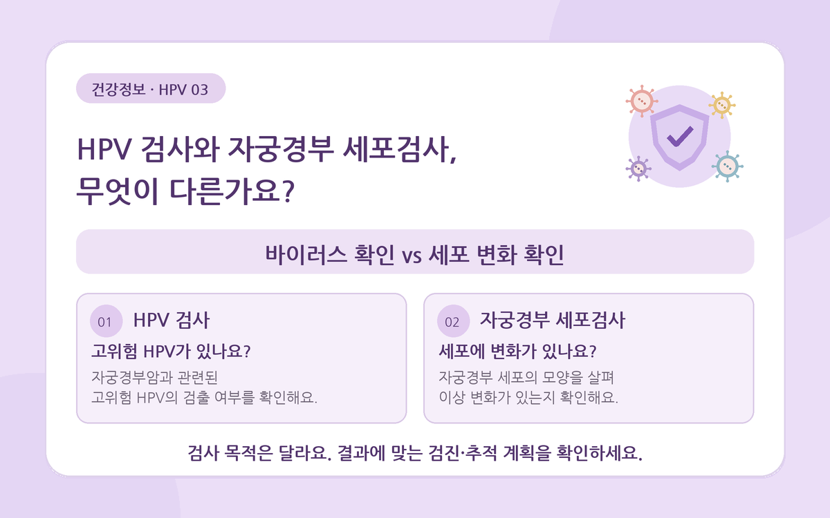 HPV 검사와 자궁경부 세포검사는 무엇이 다른가요?