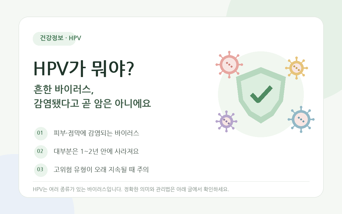HPV(인유두종바이러스) 란?